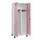 PBM-locker,HxBxD 1950x800x500mm,2vak,vak B 400mm,draaigrendel
