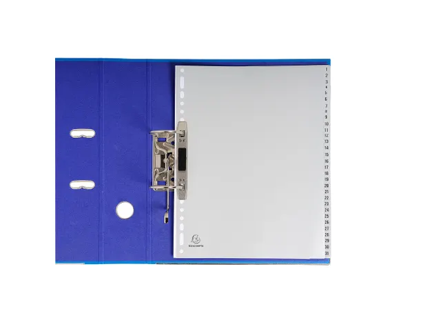 Bedrukte Tabbladen A4+ Grijs Polypropyleen 31-delig 1-31 23-Gaats