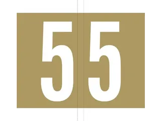 Jalema codetab 5 Goud gelamineerd, rol van 500 tabs - 2