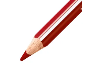 Kleurpotlood driehoekig STABILO 203 Trio dik 38 stuks assorti - 3