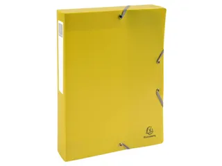 Klasseerdoos rug 40m m PP Forever Young - 16