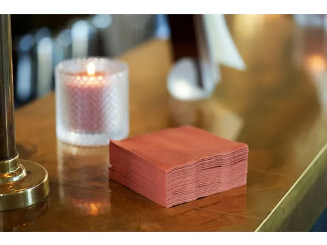 Servet 20x20cm BIO Dunisoft 1/4 vouw bruin 2880 stuks