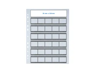 Herma 7767 Insteekhoes voor 7x5 negatieven 100 Stuks Negatievenhoes - 4