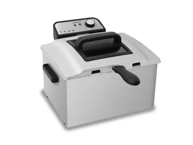 Friteuse Inventum 5 liter rvs