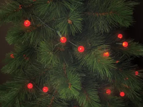 Cherry Light LED - 12m - 120 Rode Lampjes - Groene Draad - 24 V