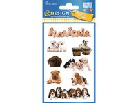 papieretiket Z-design Kids pakje a 3 vel honden foto