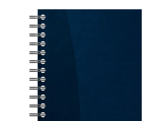 Task Manager Oxford 141x246 mm 115vel blauw