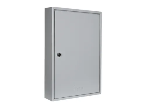 Sleutelkast Hxbxd 450X300X80Mm 64Haakjes 1Deur Ral7035