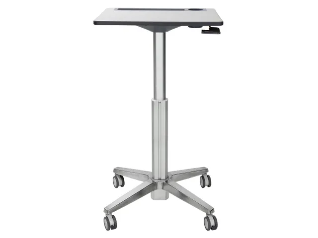 Ergotron Staantafel Verstelbaar Learnfit S