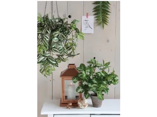 Kunstplant Mica Syngonium groen in pot 35x25cm - 2