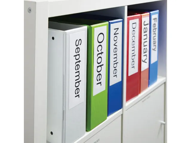 Labeltape Dymo 45803 D1 S720830 19mmx7m zwart op wit