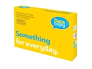 Kopieerpapier A4 4-Gaats Datacopy 80 Gram Wit Pallet - 1