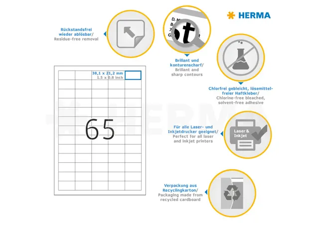 HERMA 4212 Verwijderbare etiketten A4 38,1x21,2mm Wit 1625 stuks