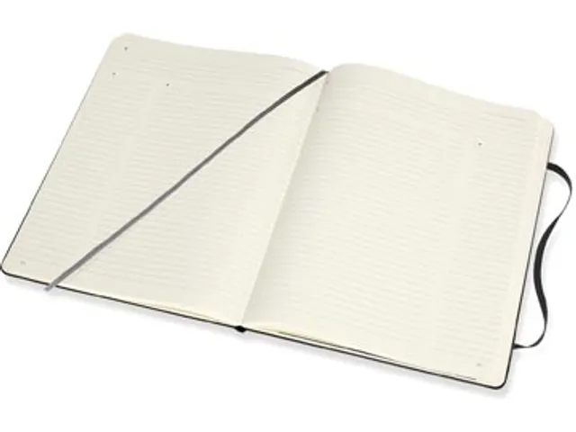 Moleskine notitieboek professional XL