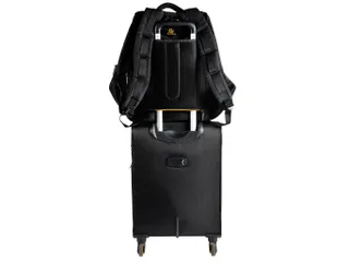Computer rugzak Exactive (15,6 inch) - 22