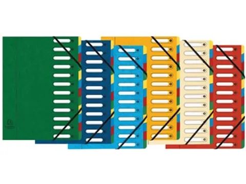 Exacompta Voorordner Harmonika Met 12 Vakken Assorti