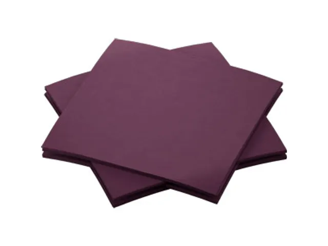 Servet 20x20cm BIO Dunisoft 1/4 vouw plum 2880 stuks