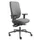 Dauphin Bureaustoel Grijs