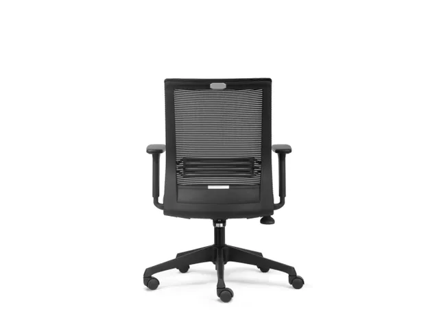 Bureaustoel Ecoline Zwart Netbespanning Lendensteun