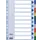 Esselte Tabbladen 10 Tabs