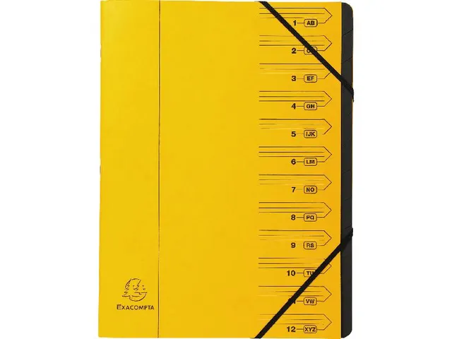 Sorteermap/vaste rug A4 Manila 12 Indel.