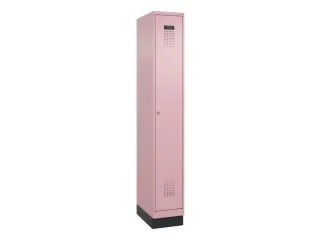 locker voor scheiding van kleding,HxBxD 1950x300x500mm,1vak - 2