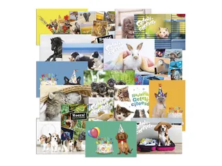Beloningsposter-kaart De Stulp thema dieren A4 assorti - 1