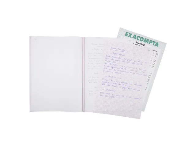 Orderboek Q5x5 29,7x21 50bl dupli