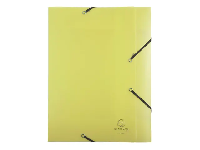 Boite de classement Exabox Dos 40mm Polypropylène 7/10e Chromaline pa