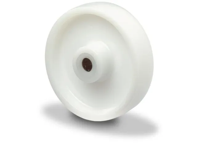 Wiel Draagverm. 100Kg Dxb 80X30Mm Kunststof