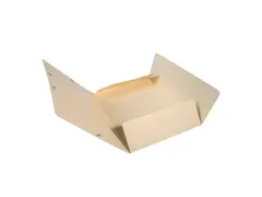 Elastomap Maxi capacity glanskarton 425gm² A4-Ivoor