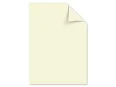 Papier Kangaro A4 160grs ivoorwit pak 50 vel