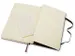 Notitieboek Moleskine pocket 90x140mm blanco hard cover zwart