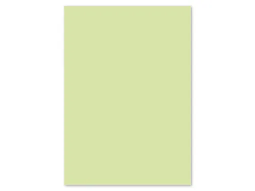 Papier Kangaro A4 120grs lichtgroen pak 100 vel