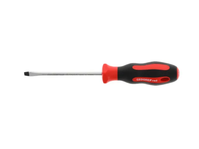 R38105519 2C schroevendraaier sleuf 5,5mm 1x100mm
