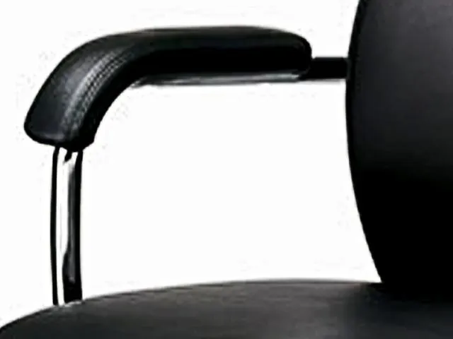 Siège de bureau XXL avec accoudoirs cuir