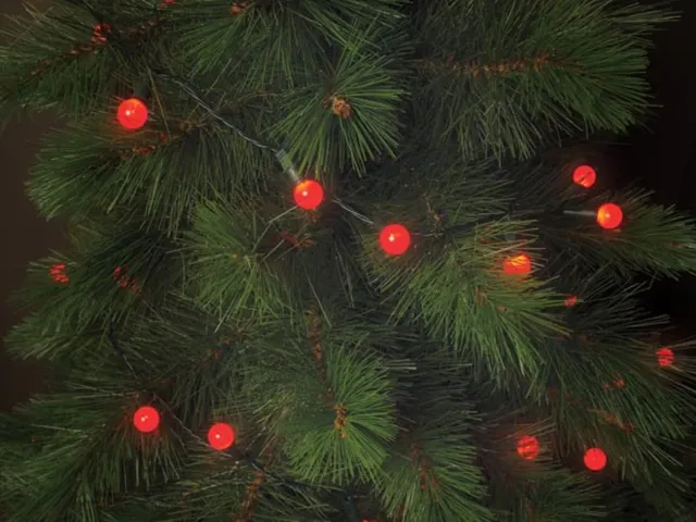 Cherry Light LED - 12m - 120 Rode Lampjes - Groene Draad - 24 V