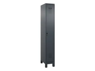 locker voor scheiding van kleding,HxBxD 1950x300x500mm,1vak - 2