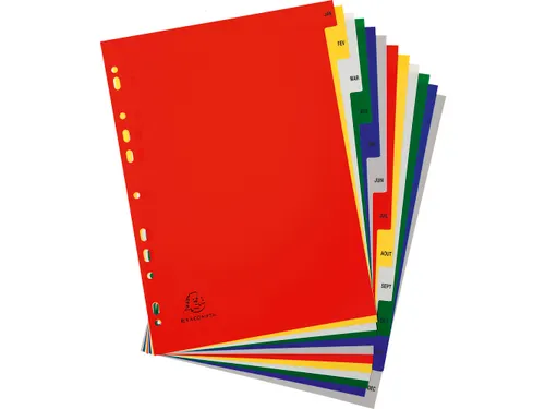 Bedrukte Tabbladen A4+ Jan-dec Assorti Pp 0.12mm 12-delig 11-gaats(FR)