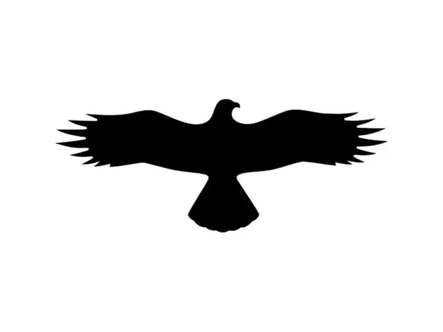 sticker,Buizerd,PVC,zwart,zelfklevend,HxB 145x367mm