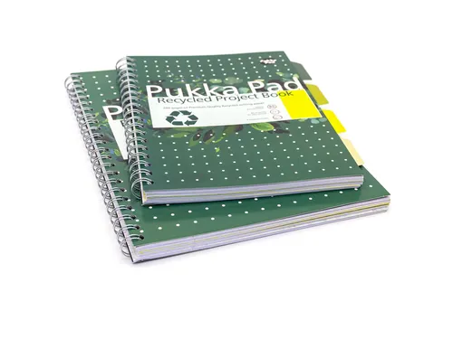 Projectboek Pukka Pad Recycled B5 lijn 4-tabs 200 pagina's 80gr groen