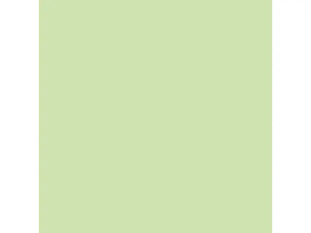Inapa Tecno colors Gekleurd papier A4 midden groen 80 gram 500vel