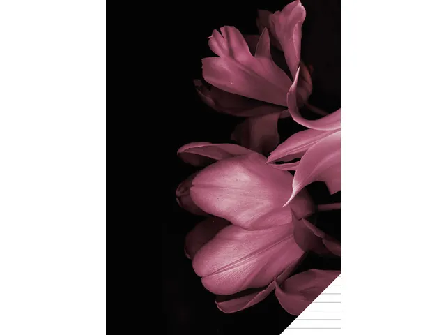 Schrift Classy Black A4 lijn