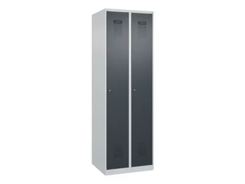 locker voor scheiding van kleding,HxBxD 1850x600x500mm,2vak