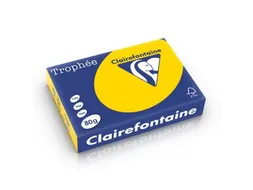 Trophée Pastel gekleurd papier A4 80 gram 500vel Goudgeel