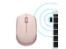 Logitech M171, Ambidextrous, Optisch, RF Draadloos, Roze