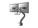 Newstar Monitorarm 2 Schermen Zwart Met Hendel D775dxblack