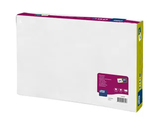 Placemat Wit 27X42, 5 X 500 (2500) - 1