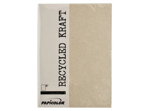 Kopieerpapier Papicolor A4 100gr 12 vel kraft grijs