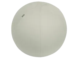 Leitz Ergo actieve zitbal anti-rol met stop-functie 65cm lichtgrijs